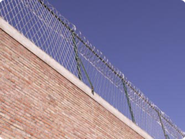 监狱防护栏 - 安平县沃达金属丝网制造有限公司图片3