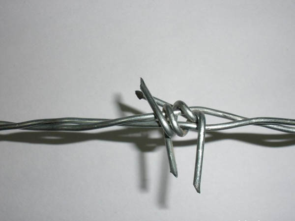 铁蒺藜 - 安平县沃达金属丝网制造有限公司图片4